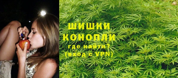 ПСИЛОЦИБИНОВЫЕ ГРИБЫ Надым