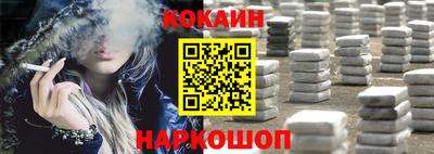 шишки Изобильный