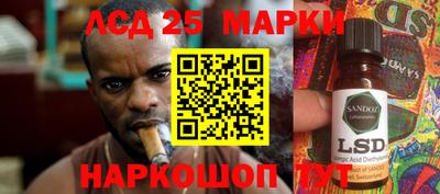 гашик Аргун