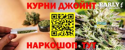 шишки Изобильный