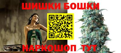 шишки Изобильный