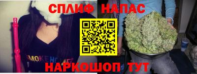 гашик Аргун