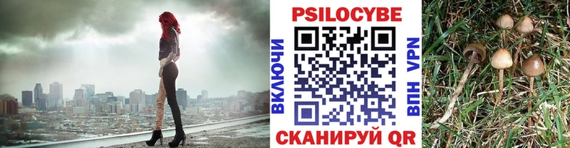 Псилоцибиновые грибы Psilocybine cubensis  Новочебоксарск 