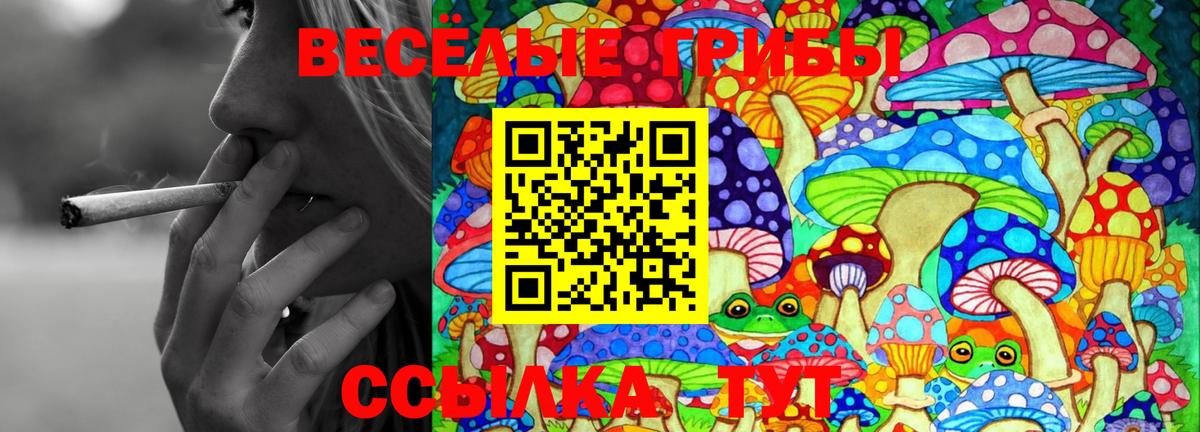 Псилоцибиновые грибы ЛСД Новочебоксарск