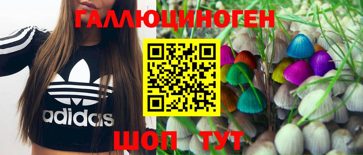 Псилоцибиновые грибы мицелий  Новочебоксарск 